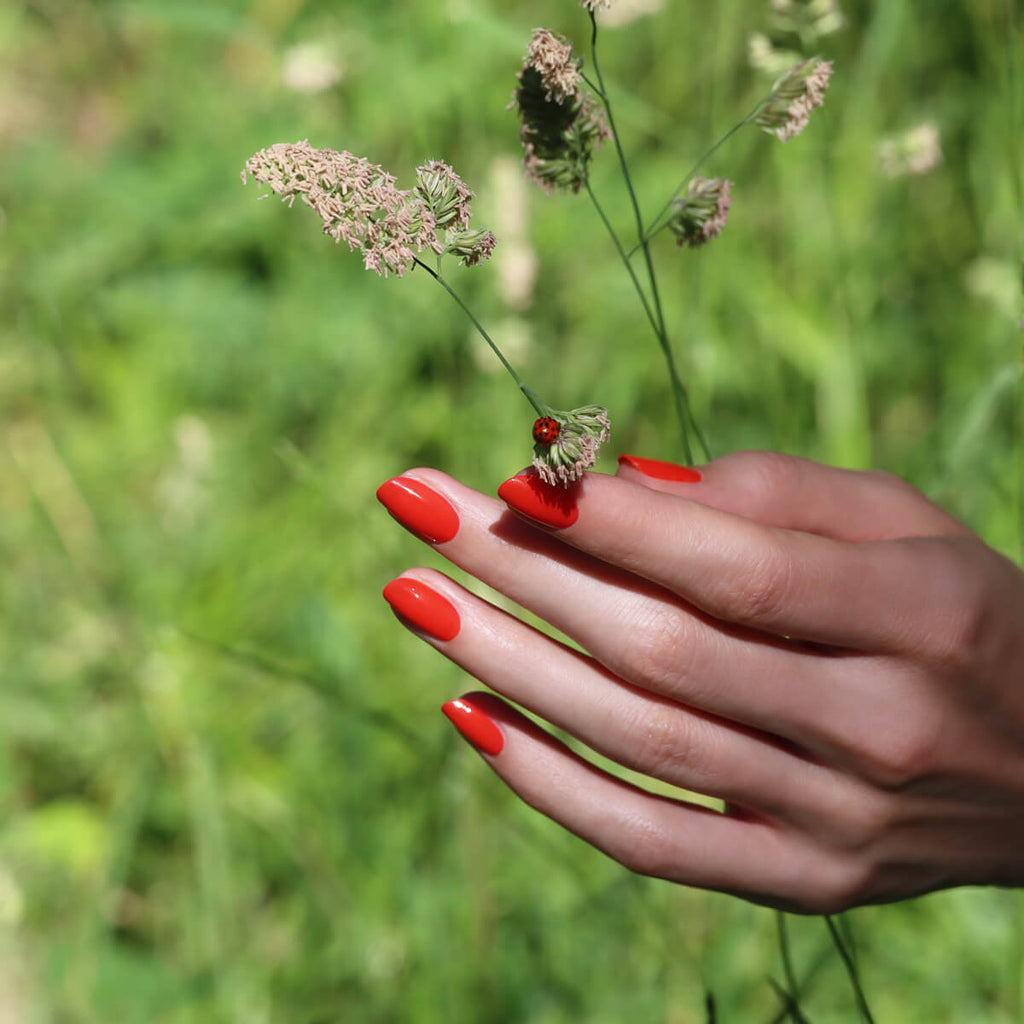 Corail rouge