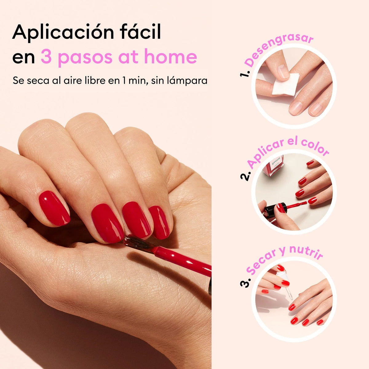 Gelée rose sorbet