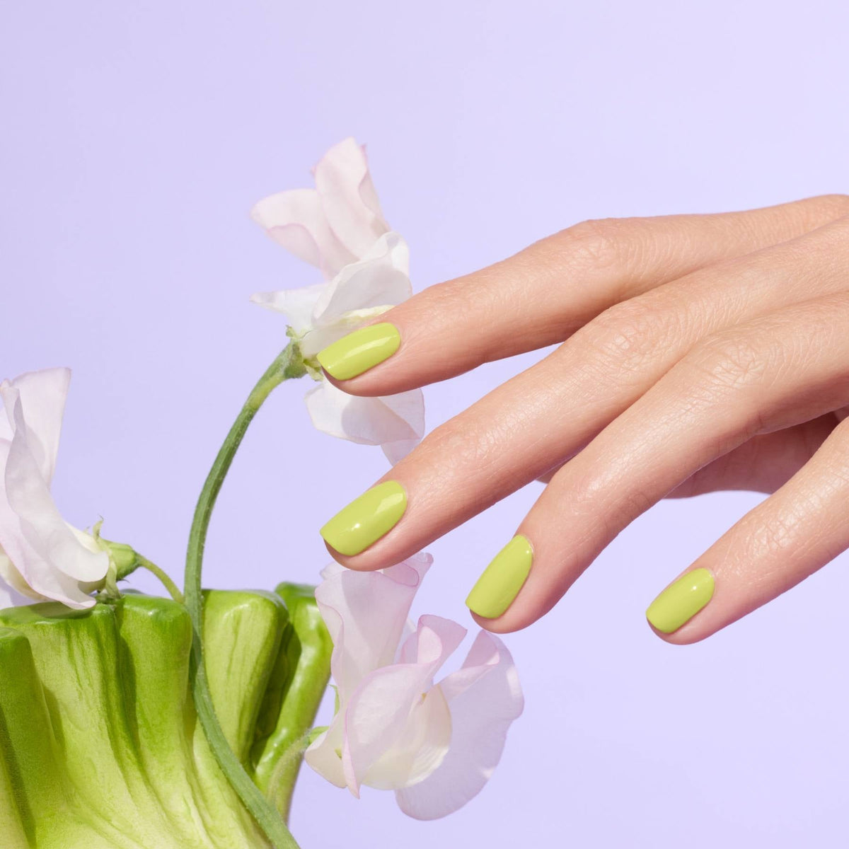 Citron vert