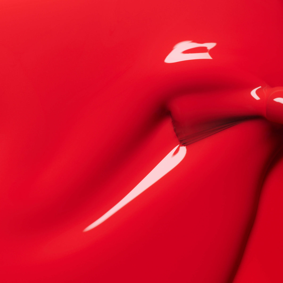 Corail rouge