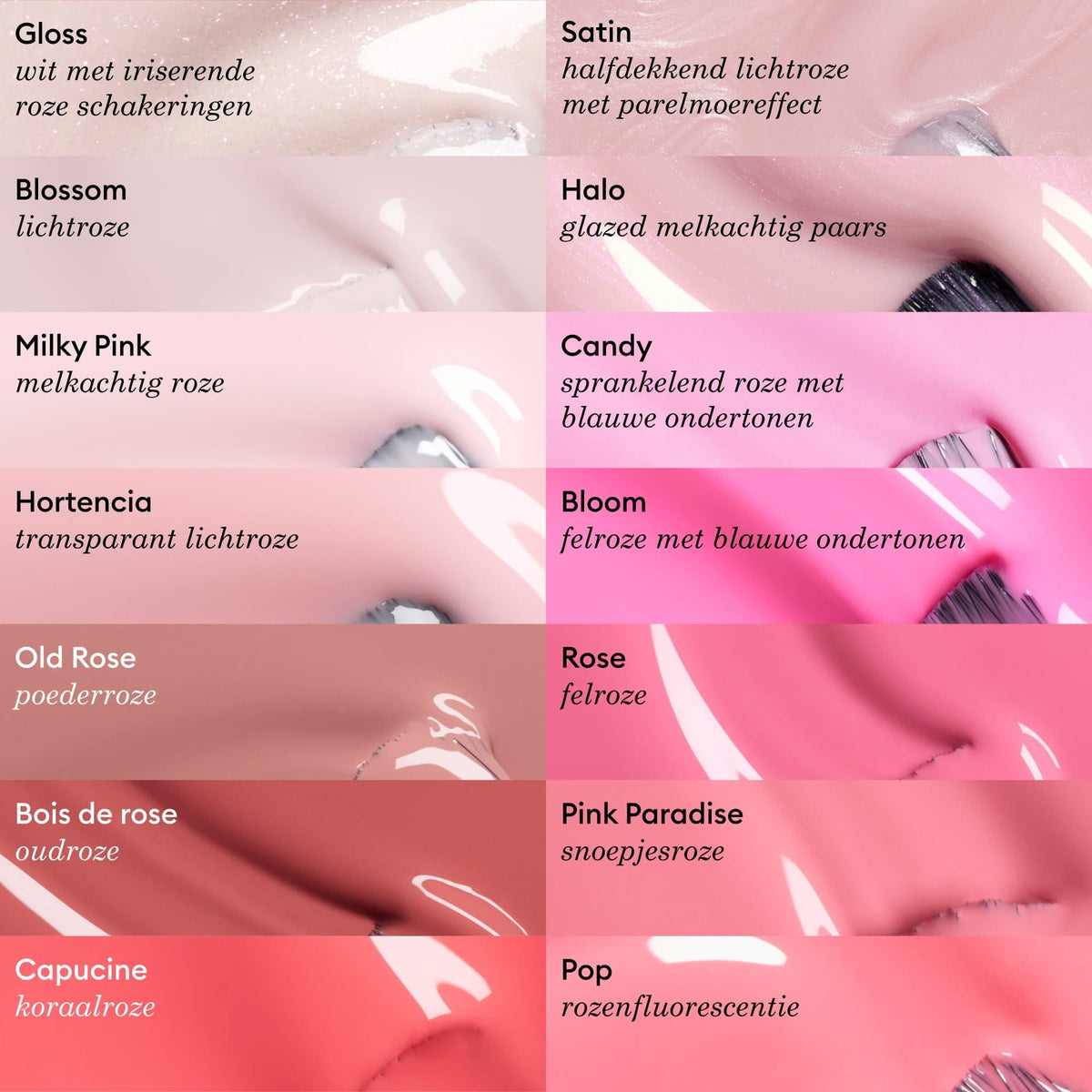 Capucine